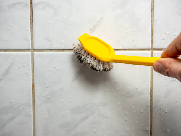 Reliable Camp Pendleton South, CA Mold Removal Solutions